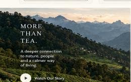 Illustrated tea ritual in a misty mountain landscape